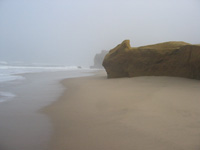 udafsanfrancisco