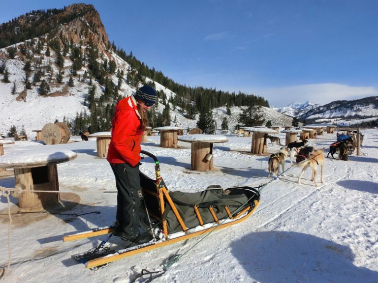 Hundeslædetur i Jackson Hole, Wyoming