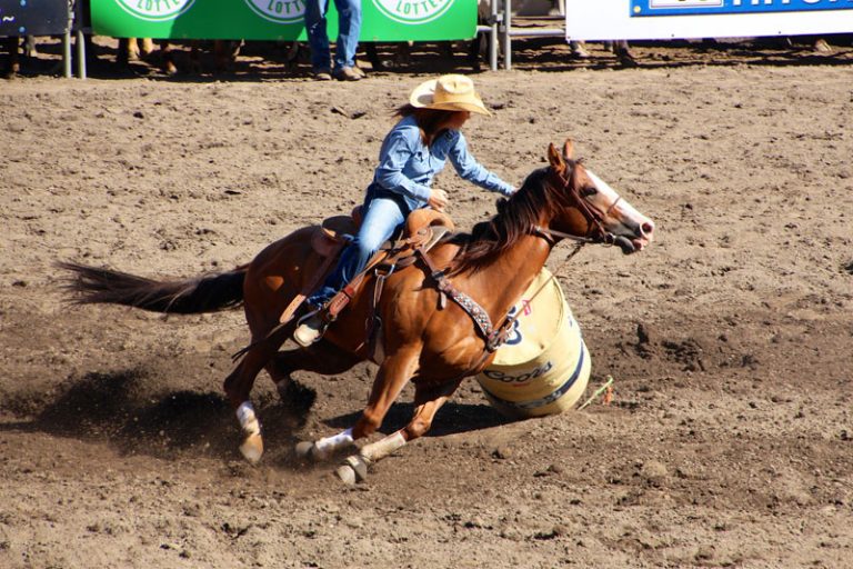 Washington State Fair: Rodeo, dyrskue og frituremad
