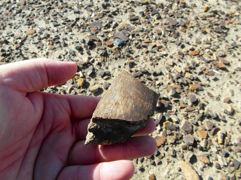 Quarry Hike i Dinosaur Provincial Park