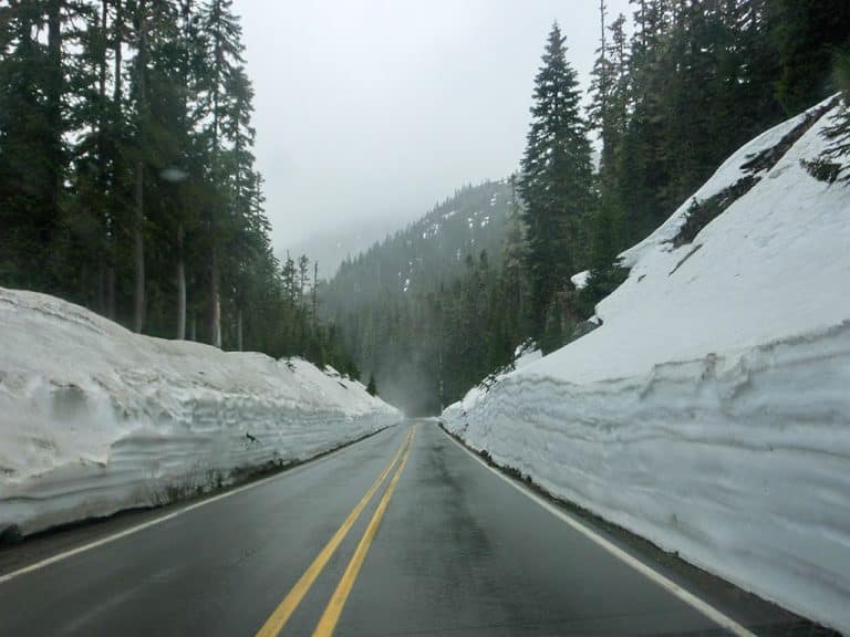 Mount Rainier National Park