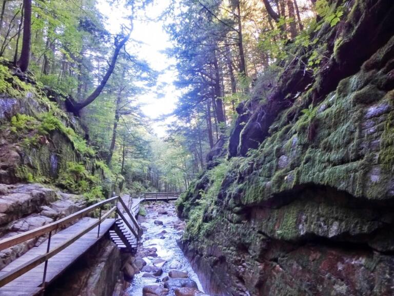 Flume Gorge i New England