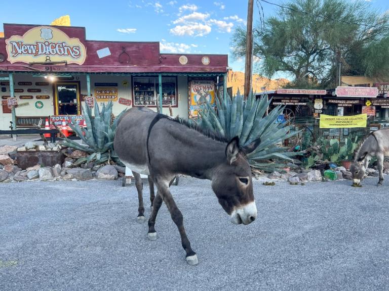 Oatman på Route 66